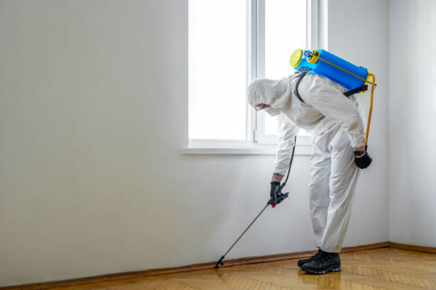 Best Emergency Pest Control  in Gering, NE